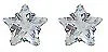 Stud Earrings NF89500-1star